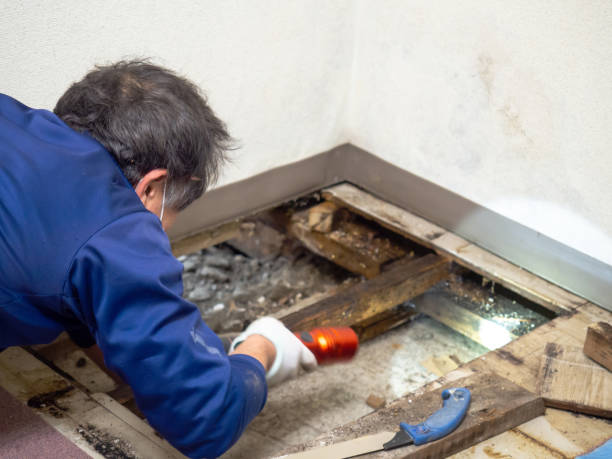 Trusted Sheridan, OR Mold Remediation Experts