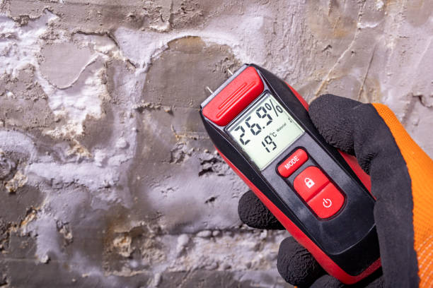  Sheridan, OR Mold Removal Pros